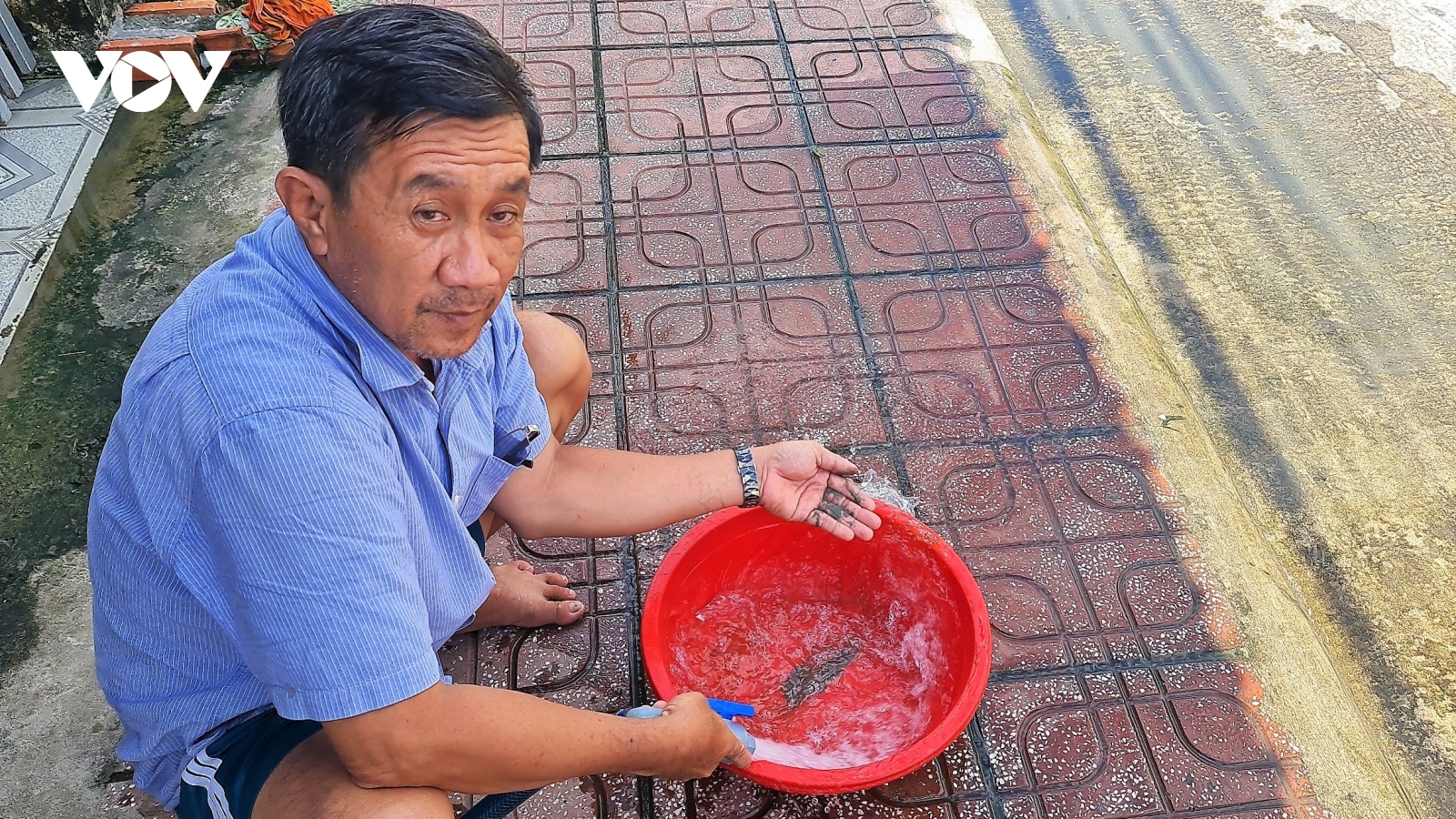 Cà Mau xin gia hạn thời gian báo cáo nguồn nước ở Khu dân cư Hoàng Tâm